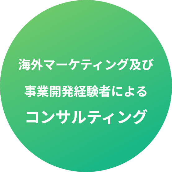 海外でのコンテンツマーケティング事業開発経験者によるコンサルティング